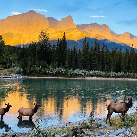 Unit #204 Cozy Mountain View 2Br In Canmore Downtown Eksteriør billede