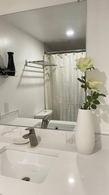 Unit #204 Cozy Mountain View 2Br In Canmore Downtown Eksteriør billede